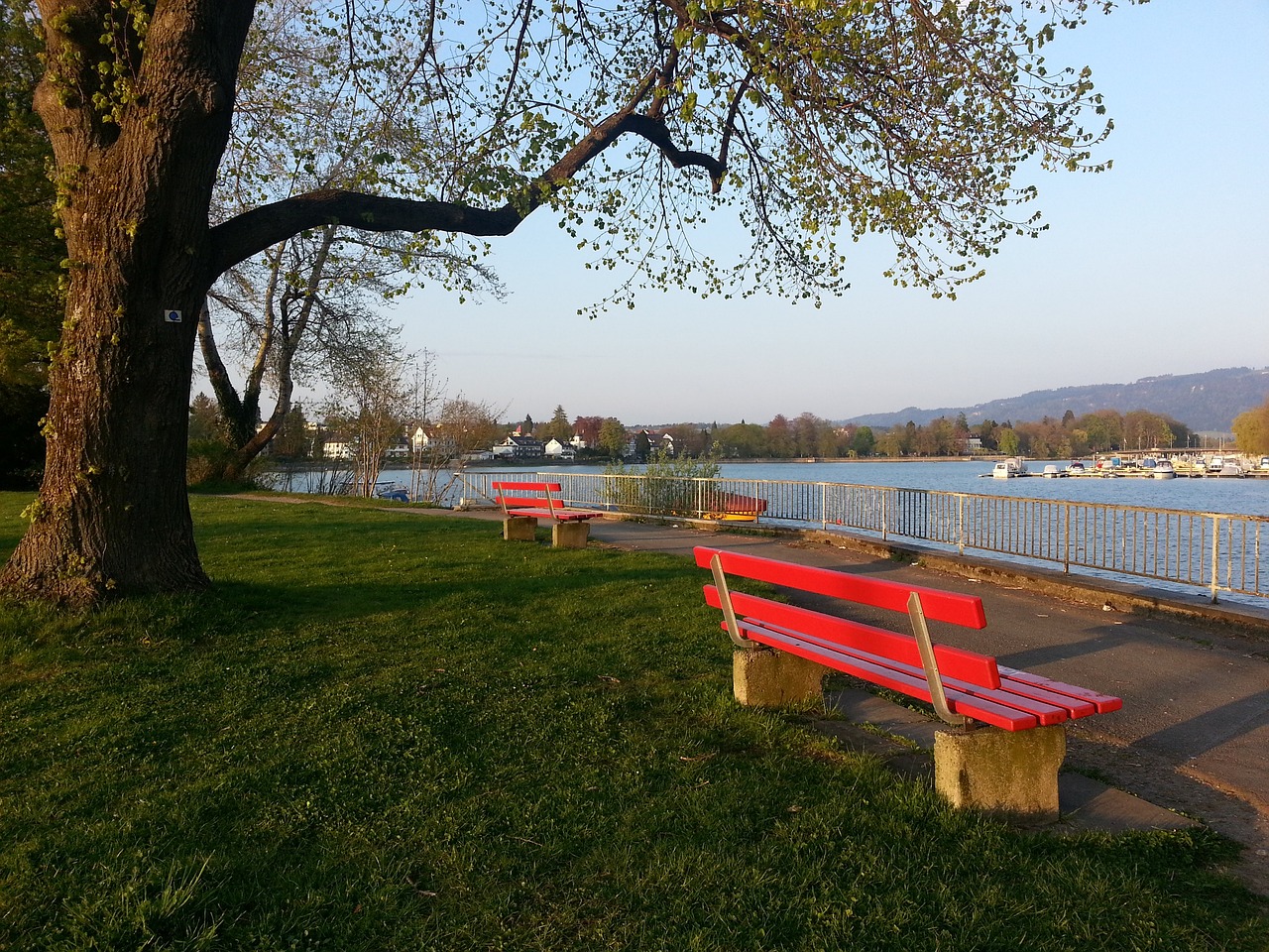 球隊的內部 球隊的內部