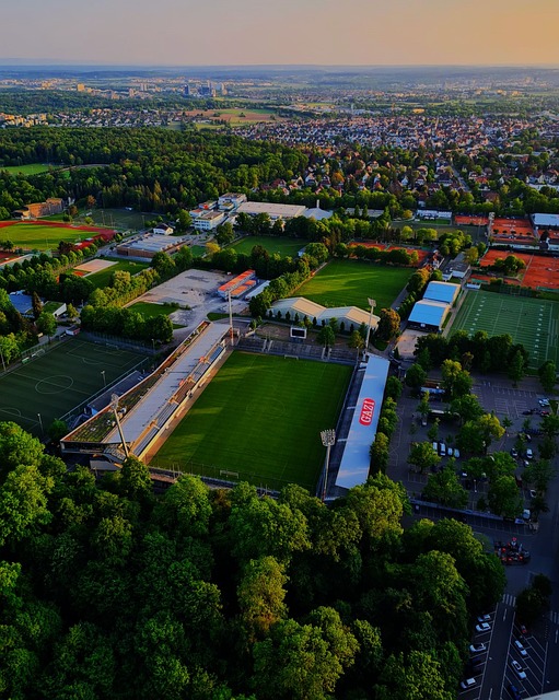 精準判斷與 精準判斷與