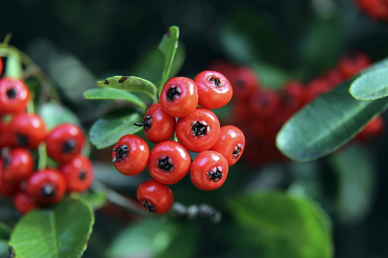 要在这当中 要在这当中