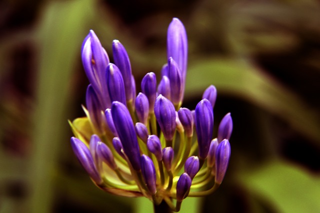 輪的一場場 輪的一場場