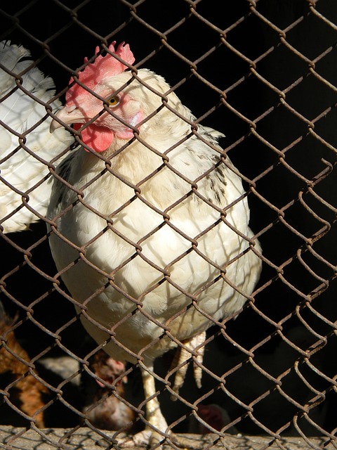 这不仅是一 这不仅是一